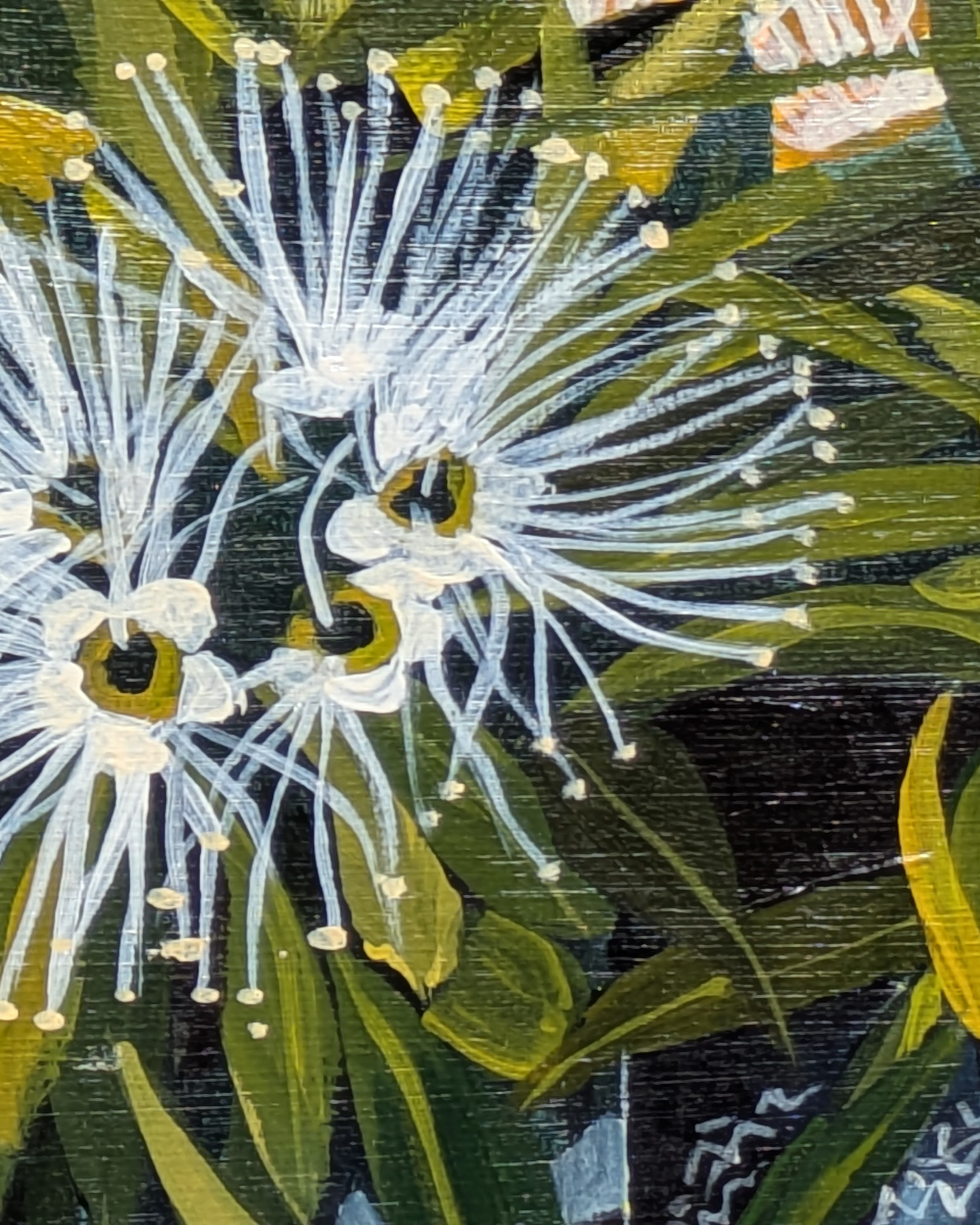 Ali's Xanthostamen — view 2
